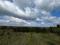 Nekretnina: Smederevo - Udovički prokop - 12,32ara ID#24570