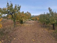 Nekretnina: Grocka - Zaklopača - 69ari ID#24589