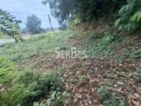 Nekretnina: Gradjevinski plac 591m2 u sremskim Karlovcima za poslovanje ID#1679