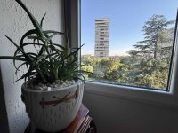 Nekretnina: Voždovac, Šumice, Ustanička, 47m2 ID#21628