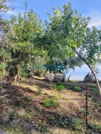 Nekretnina: Grocka - Plavinci