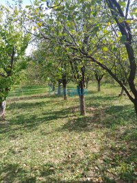 Nekretnina: Grocka - Plavinci