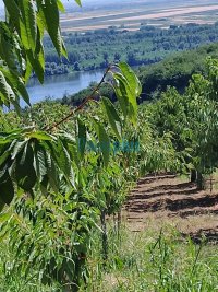 Nekretnina: Ritopek - Plavinci