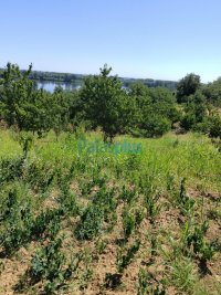 Nekretnina: Ritopek - Plavinci