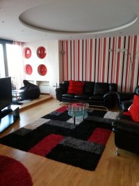 Nekretnina: Trosoban pet friendly stan na Limanu 2! ID#6881