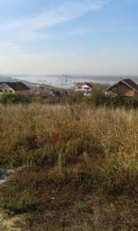 Nekretnina: PALILULA Despotovacka ID: 19520