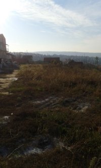 Nekretnina: PALILULA Despotovacka ID: 19520