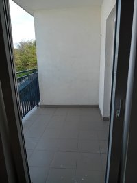 Nekretnina: PALILULA Mirka Milojkovica ID: 35429