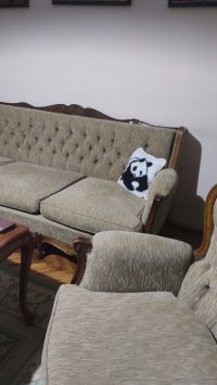 Nekretnina: ZVEZDARA ID: 35355