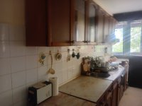 Nekretnina: BOR Dobrivoja Radosavljevica Bobija ID: 35565