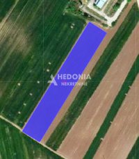 Nekretnina: Surčin, Tabla, plac 83 ari ID#10231