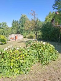 Nekretnina: Banja Vrujci, Rakari, plac 8 ari, uknjižen ID#10174