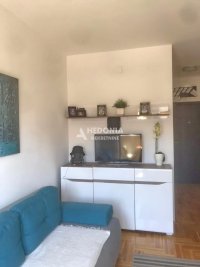 Nekretnina: Zlatibor, Jelena Anžujska, 1.5, renoviran, opremljen ID#9955