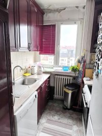 Nekretnina: Botanička bašta, Porečka, 4.0 stan, retko u ponudi ID#9909