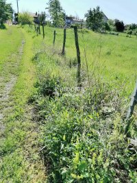 Nekretnina: Stepojevac, Vrbovno, plac 40 ari, uknjižen ID#9908