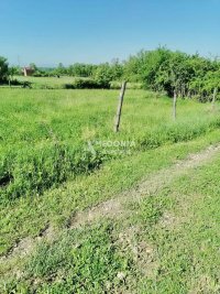 Nekretnina: Stepojevac, Vrbovno, plac 40 ari, uknjižen ID#9908