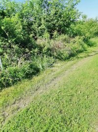 Nekretnina: Stepojevac, Vrbovno, plac 40 ari, uknjižen ID#9908