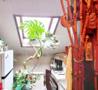 Nekretnina: Zemun, Centar, Karađorđev trg, 3.0 salonac ID#9633