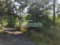 Nekretnina: Zemljište u Drlupi, Kosmaj, Sopot ID#9525