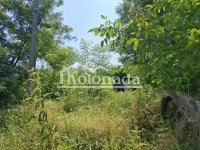 Nekretnina: Zemljište u Drlupi, Kosmaj, Sopot ID#9525