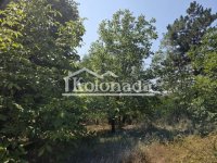 Nekretnina: Plac u Popoviću, Kosmaj, Sopot ID#9225