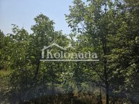 Nekretnina: Plac u Popoviću, Kosmaj, Sopot ID#9225