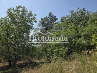 Nekretnina: Plac u Popoviću, Kosmaj, Sopot ID#9225