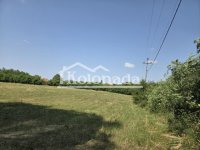 Nekretnina: Gradjevinsko zemljište od 1 ha sa porodičnom kućom u Dučini, Kosmaj, Sopot ID#8325