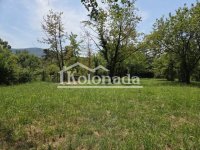 Nekretnina: Plac u Nemenikućama, Kosmaj, Sopot ID#7925