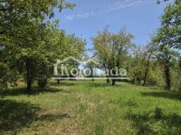 Nekretnina: Plac u Nemenikućama, Kosmaj, Sopot ID#7925