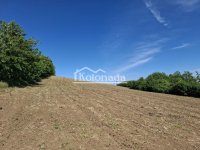 Nekretnina: Zemljište u Ralji, Sopot ID#6525