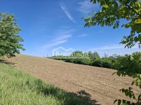 Nekretnina: Zemljište u Ralji, Sopot ID#6525