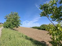 Nekretnina: Zemljište u Ralji, Sopot ID#6525