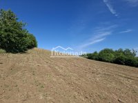 Nekretnina: Zemljište u Ralji, Sopot ID#6525