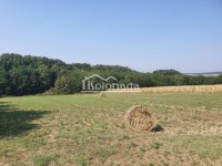 Nekretnina: Plac u Nemenikućama, Kosmaj, Sopot ID#6325