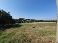 Nekretnina: Plac u Nemenikućama, Kosmaj, Sopot ID#6325