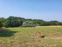 Nekretnina: Plac u Nemenikućama, Kosmaj, Sopot ID#6325