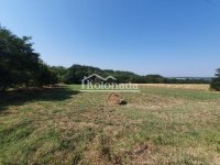 Nekretnina: Plac u Nemenikućama, Kosmaj, Sopot ID#6325