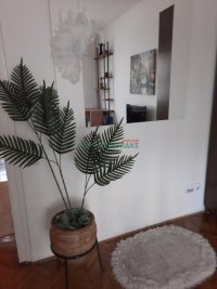 Nekretnina: 1.5-soban, 40m2, centar, Vladike Platona 1.sprat ID#1776