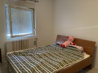 Nekretnina: Jednoiposoban stan, NOVI SAD, SALAJKA