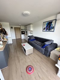 Nekretnina: Jednoiposoban stan, SREMSKA KAMENICA, CENTAR