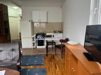 Nekretnina: Garsonjera za izdavanje Mirijevo ID#815202