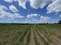 Nekretnina: Kosmaj, Velika Ivanča, građevinsko zemljište ID#3253