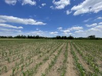 Nekretnina: Kosmaj, Velika Ivanča, građevinsko zemljište ID#3253