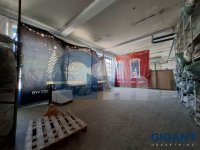 Nekretnina: ZVEZDARA Miloša Savkovića ID: 94116233