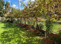 Nekretnina: OKOLNO MESTO-VRNJAEKA BANJA Mileševska-Lipova ID: 856942051