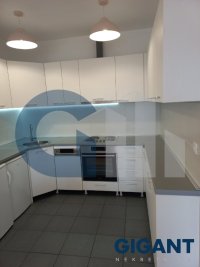 Nekretnina: ZVEZDARA Ilije Pavlovića ID: 90989852