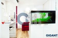 Nekretnina: SAVSKI VENAC Dobrinjska ID: 720564120