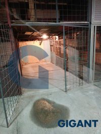 Nekretnina: OPŠTINA NOVI BEOGRAD Gandijeva ID: 950102