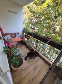 Nekretnina: Zvezdara, Mirijevo, Ulofa Palmea, 3.5